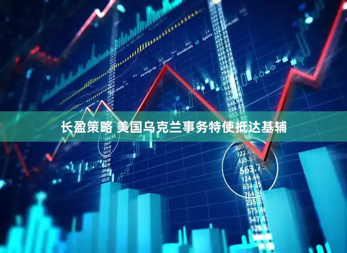 长盈策略 美国乌克兰事务特使抵达基辅