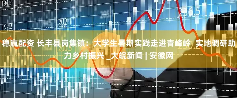 稳赢配资 长丰县岗集镇：大学生暑期实践走进青峰岭  实地调研助力乡村振兴 _大皖新闻 | 安徽网