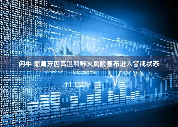 闪牛 葡萄牙因高温和野火风险宣布进入警戒状态