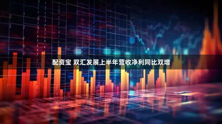 配资宝 双汇发展上半年营收净利同比双增