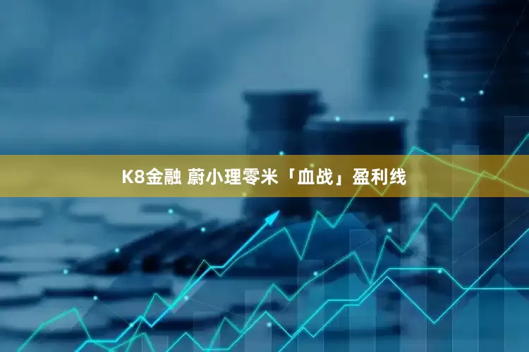 K8金融 蔚小理零米「血战」盈利线