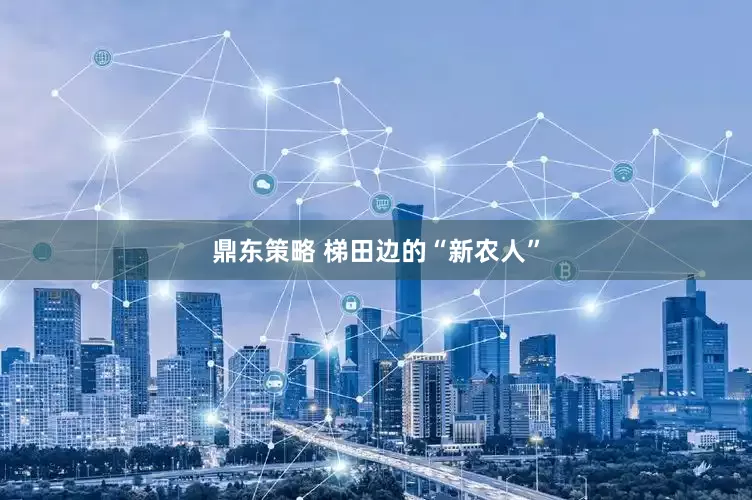 鼎东策略 梯田边的“新农人”