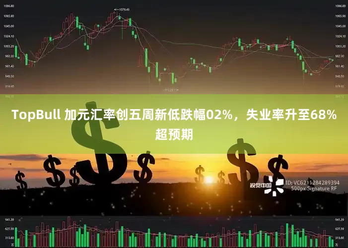 TopBull 加元汇率创五周新低跌幅02%，失业率升至68%超预期